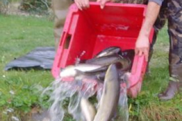 Winter News from Mas Bas - 2