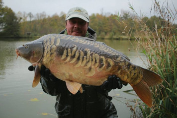 New Stock Introduced - 1