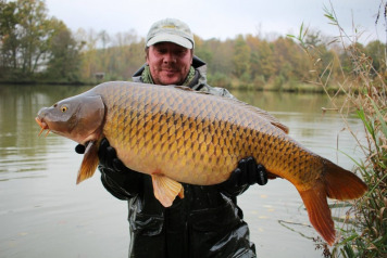 New Stock Introduced - 2