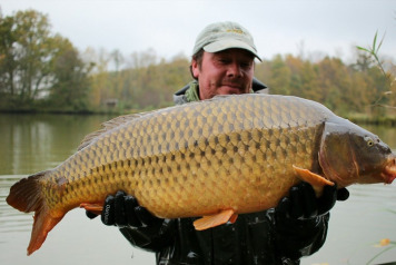 New Stock Introduced - 4