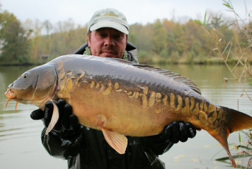 New Stock Introduced - 5