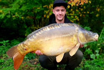 September & October Update - 3