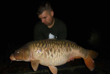 September & October Update - 2