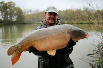 New Stock Introduced - 7