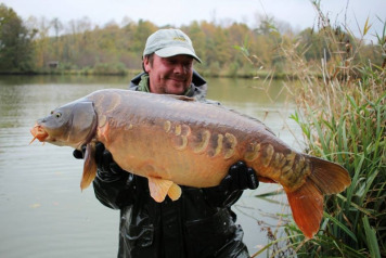 New Stock Introduced - 8