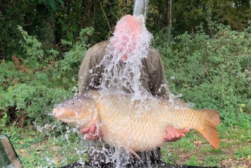 October Round-up - 2