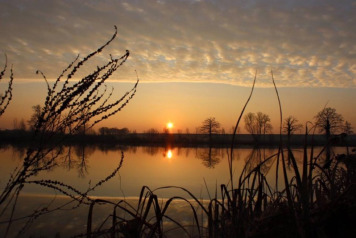 Nick Burrage's Session on Jonchery - 2