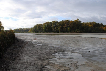 Annual Netting at Jonchery - 2