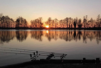 The Fishing So Far - 5