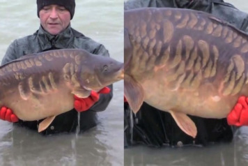 Two 50lb'ers Stocked at Jonchery - 2