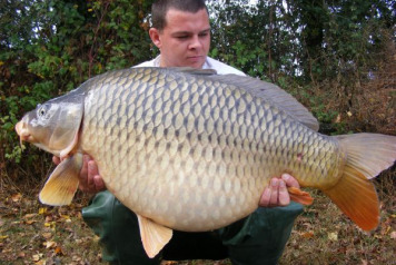 2010 was a great year at Villefond - 5