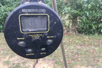 Festive fun at Lillybelle  - 4