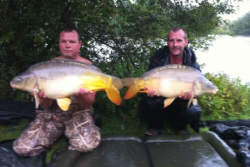 Record week - 85 carp - 2