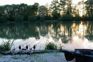 Reserve Your 2016 Week Now - 1