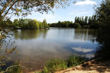 Finding the Right Combination to Catch Big French Carp - 1