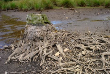 Work Begins on Lake William - 5