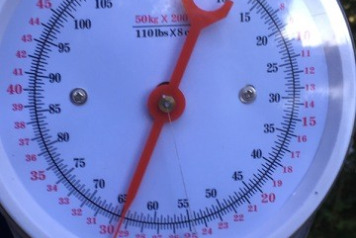 62lb 11oz For Tom - 2