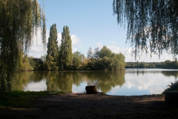 Last Week's Results & Good News For This Week So Far - 1