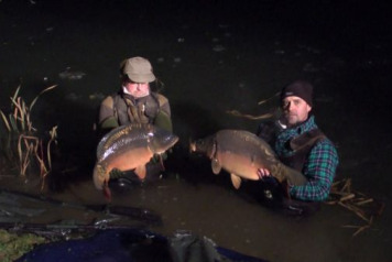 Another 55 carp stocked at Lillypool. Santa came early and emptied his sack! - 5