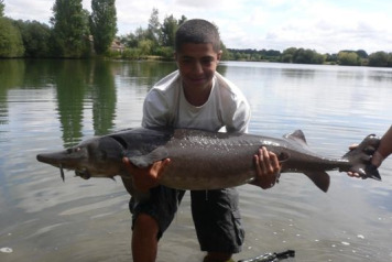 69.12 mirror for 15 year old Chris Tsourou... - 3