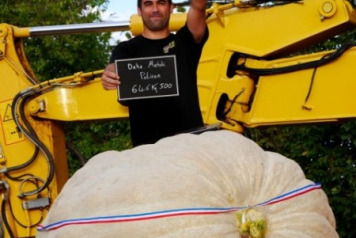 Mehdi Does It Again - 1