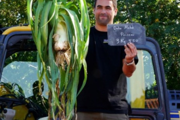 Mehdi Does It Again - 3