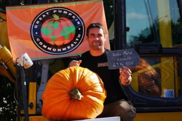 Mehdi Does It Again - 2