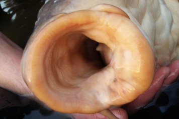    Winter success ! - 3