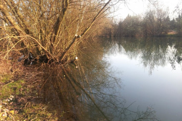 Winter Improvements and Fishing News  - 5