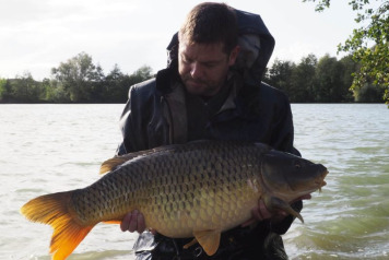 Additional Carp Stocked - 8