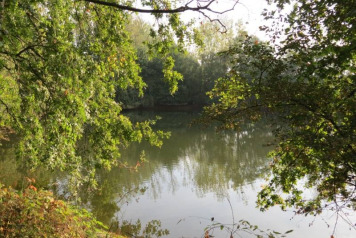 Grumpy Old Men at Old Oaks - 1