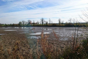 A view from swim 5 drained down - 1