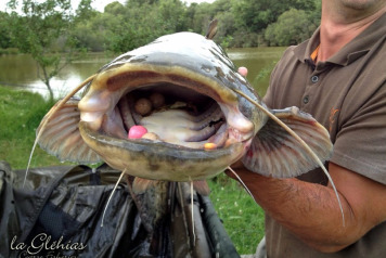 Monsters from the Deep!!! - 5