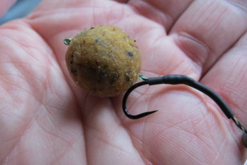 A Lake in the Woods - 1