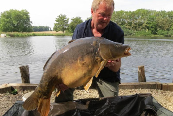 A Lake in the Woods - 4