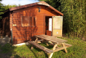 Winter Improvements and Fishing News  - 6