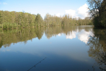 '14 & '15 Reviews - 3