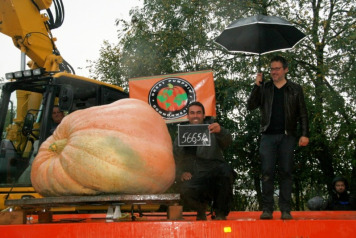 Mehdi's New Records! - 1