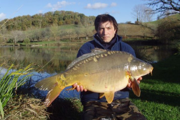 Additional stock added - 4