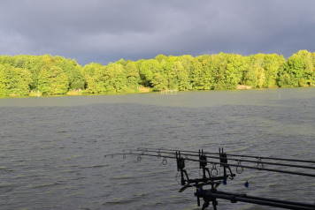 Team Richworth Bulgaria Fish Vaumigny - 5