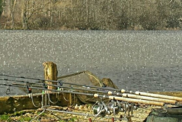 A Wet Start to the Week! - 1