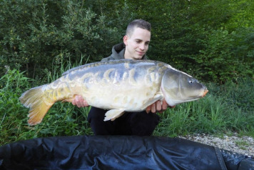 Catch report from 5/8/2017 to 12/8/2017 - 1