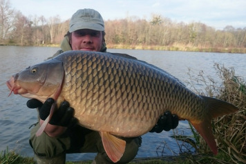 Another Additional Stocking... - 4