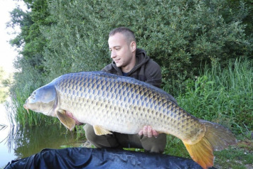 Catch report from 5/8/2017 to 12/8/2017 - 3