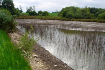 Work Begins on Lake William - 6