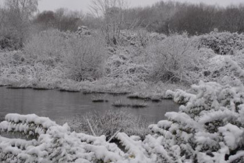 Picture Postcard â€“ Snow  - 1