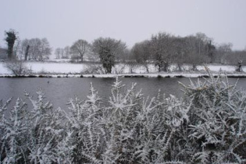 Picture Postcard â€“ Snow  - 5