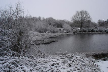 Picture Postcard â€“ Snow  - 6