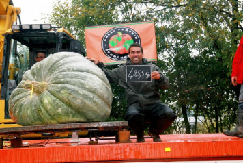 Mehdi's New Records! - 2