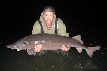 Laroussi session produces 3 carp over 50lb - biggest 69.06 - 2